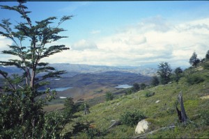 0402 PAINE - cestou k refugiu Cuernos.jpg